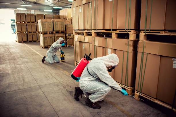 Best Pest Control Near Me  in East Setauket, NY