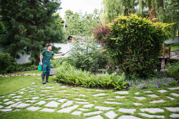 Best Best Pest Control Companies  in East Setauket, NY