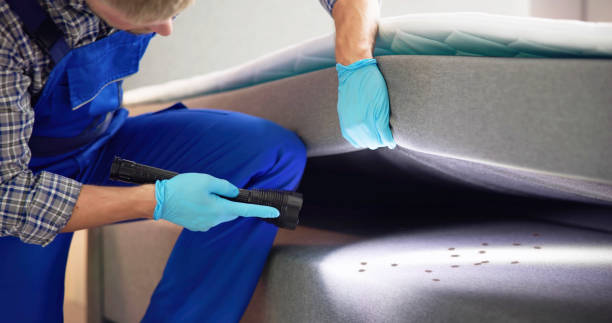 Best Pest Prevention Services  in East Setauket, NY