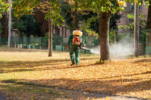 Reliable East Setauket, NY Pest Control Solutions